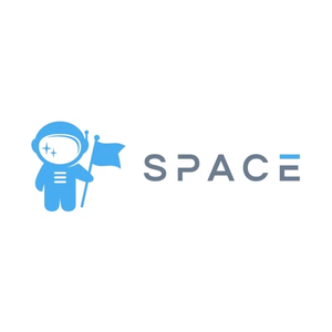 thespacesafe brand logo for thespacesafe.com