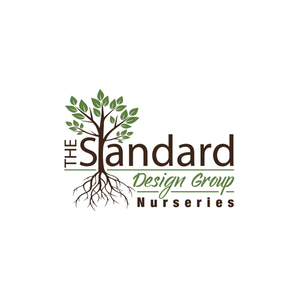 thestandarddesigngroup brand logo for thestandarddesigngroup.com