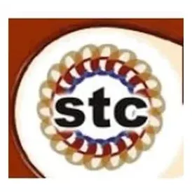 thestc brand logo for thestc.com