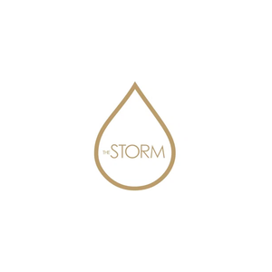 thestormjewelry brand logo for thestormjewelry.com