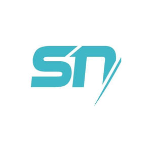 thestrategyninjas brand logo for thestrategyninjas.com