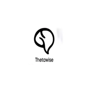 thetawise brand logo for thetawise.ai