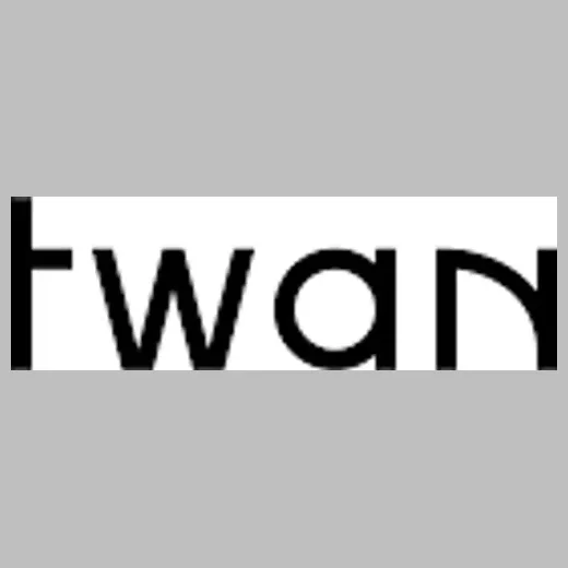 thetwan brand logo for thetwan.com