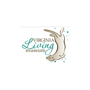 thevlm brand logo for thevlm.org