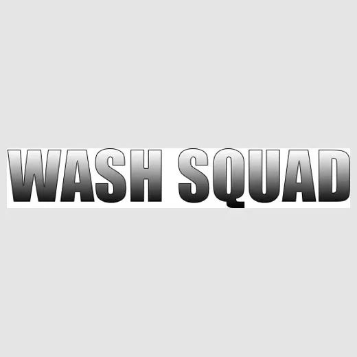 thewashsquad brand logo for thewashsquad.com
