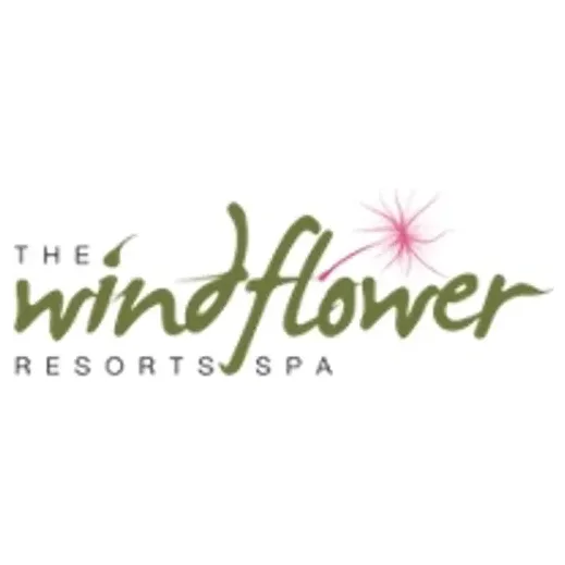 thewindflower brand logo for thewindflower.com