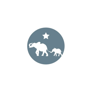 thewishingelephant brand logo for thewishingelephant.com