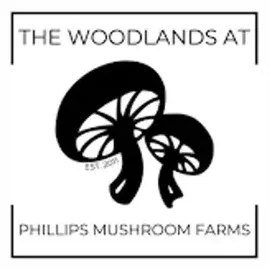 thewoodlandsatphillips brand logo for thewoodlandsatphillips.com