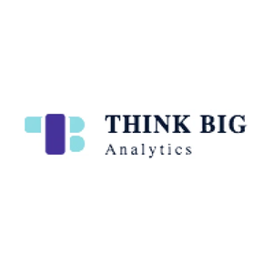 thinkbiganalytics brand logo for thinkbiganalytics.com