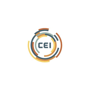 thinkcei brand logo for thinkcei.com