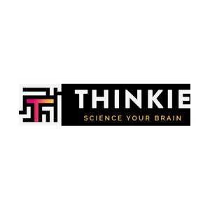thinkiesystem brand logo for thinkiesystem.com