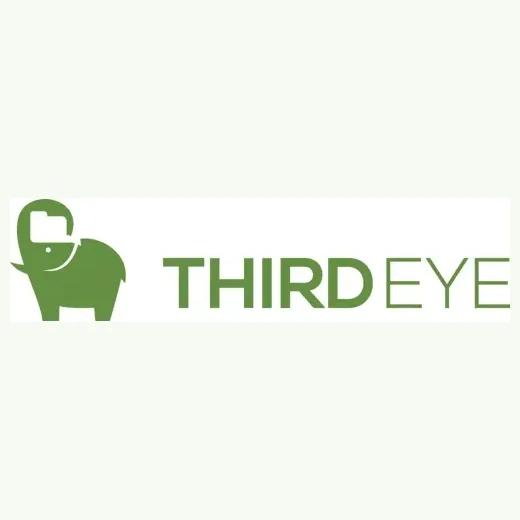 thirdeyedata brand logo for thirdeyedata.ai