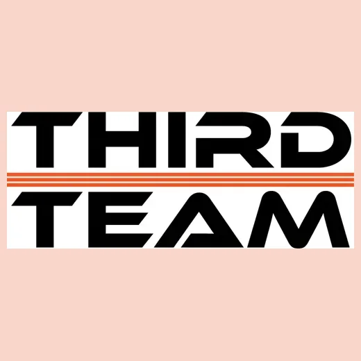 thirdteam brand logo for thirdteam.com