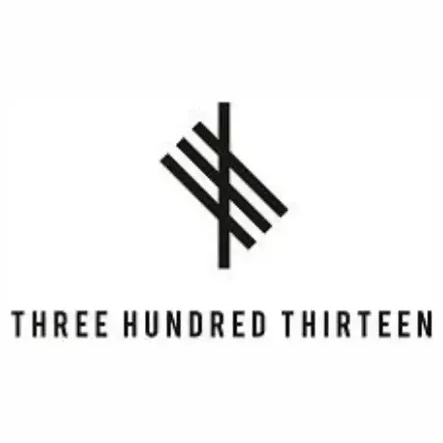 threehundredthirteen brand logo for threehundredthirteen.com
