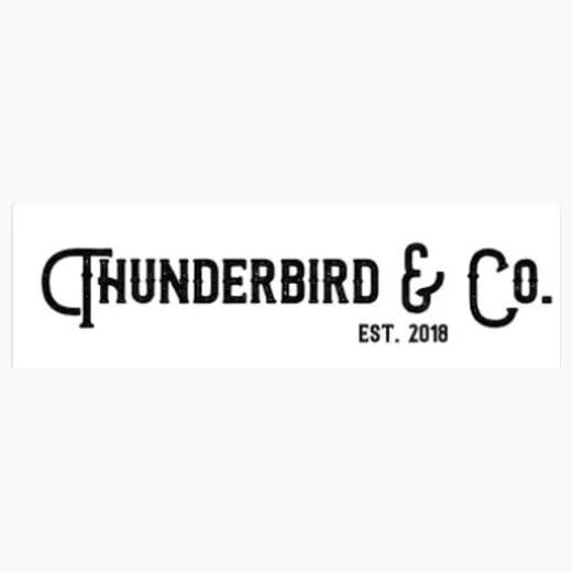 thunderbirdandco brand logo for thunderbirdandco.com