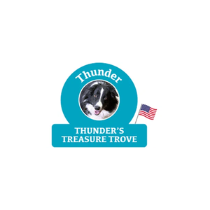 thunderstreasuretrove brand logo for thunderstreasuretrove.com