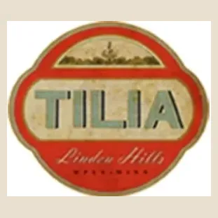 tiliampls brand logo for tiliampls.com