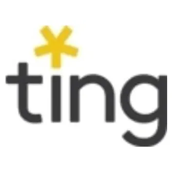tingfire brand logo for tingfire.com