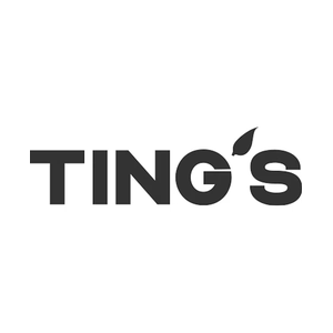 tingschips brand logo for tingschips.com