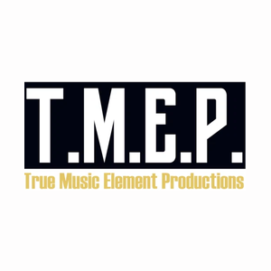 tmepmusic brand logo for tmepmusic.com