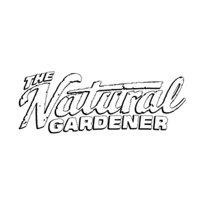 tngaustin brand logo for tngaustin.com
