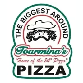 toarminas brand logo for toarminas.com
