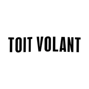toitvolant brand logo for toitvolant.com