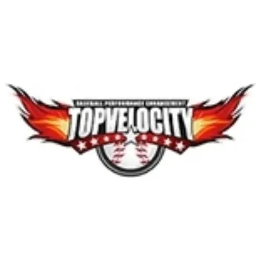 topvelocity brand logo for topvelocity.pro