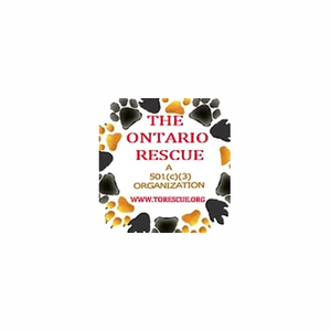 torescue brand logo for torescue.org