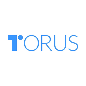 toruswallet brand logo for toruswallet.io