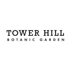 towerhillbg brand logo for towerhillbg.org