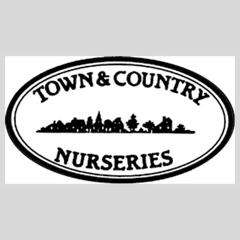 townandcountryfireplaces brand logo for townandcountryfireplaces.com