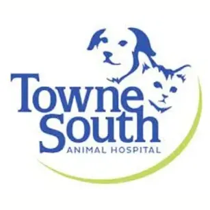 townesouthah brand logo for townesouthah.com