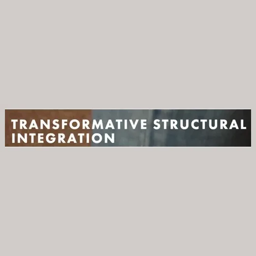 transformativesi brand logo for transformativesi.com