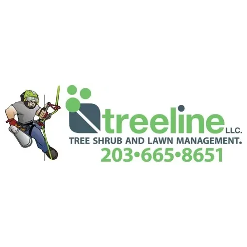 treelinect brand logo for treelinect.com