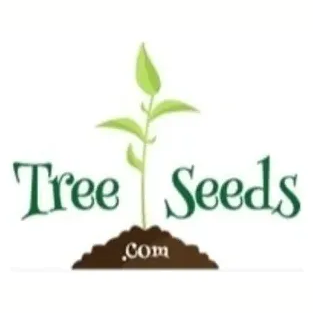treeseedsforsale brand logo for treeseedsforsale.com