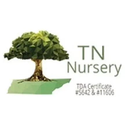 treesforsaleonline brand logo for treesforsaleonline.com