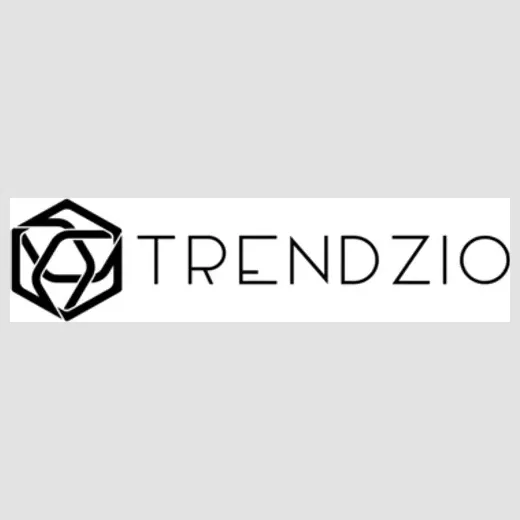 trendziostore brand logo for trendziostore.com