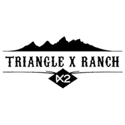 trianglex brand logo for trianglex.com