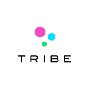 tribegroup brand logo for tribegroup.co