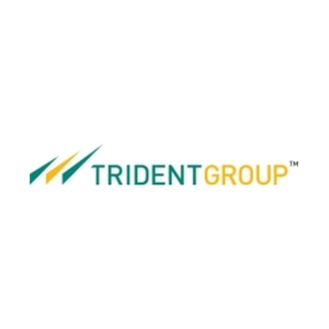 tridentindia.com/textiles brand logo for tridentindia.com