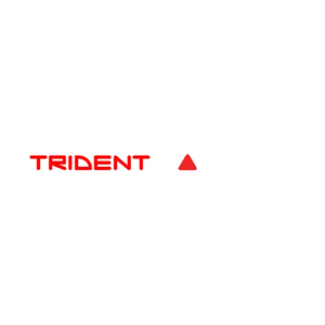 tridentmadness brand logo for tridentmadness.com