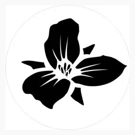 trilliumbrewing brand logo for trilliumbrewing.com
