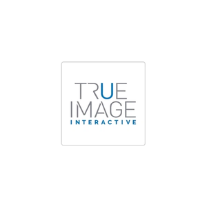 trueimageinteractive brand logo for trueimageinteractive.com