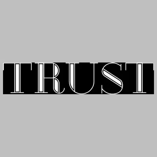 trustdtsa brand logo for trustdtsa.com