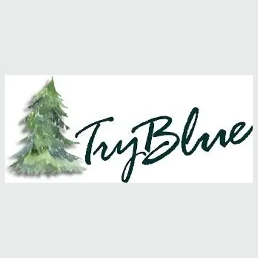 tryblue brand logo for tryblue.org