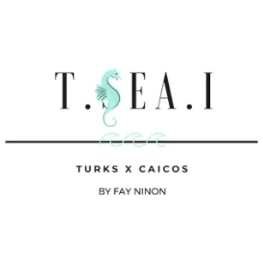 tseai brand logo for tseai.shop
