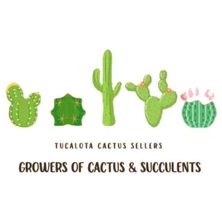 tucalotacactusgrowers brand logo for tucalotacactusgrowers.com