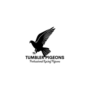 tumblerpigeons brand logo for tumblerpigeons.com