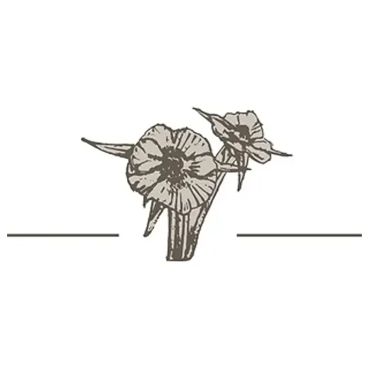 tumbleweedbotanicals brand logo for tumbleweedbotanicals.com